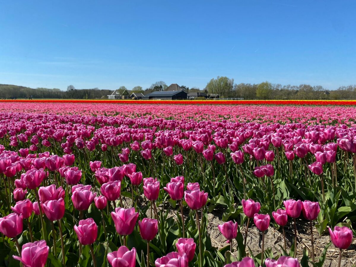 Noord Holland